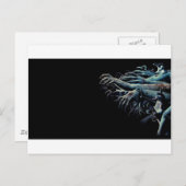 ゾンビ手 ポストカード (正面/裏面)