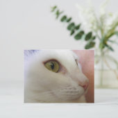 ゾーイは考えるのだ。 ポストカード (スタンド正面)