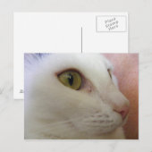 ゾーイは考えるのだ。 ポストカード (正面/裏面)