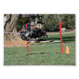 ゾーイ1 フォトプリント           