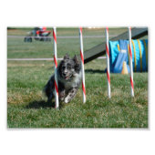 ゾーイ2 フォトプリント            (正面)