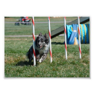 ゾーイ2 フォトプリント           