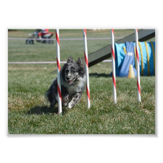 ゾーイ2 フォトプリント            (正面)