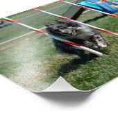 ゾーイ2 フォトプリント            (角)