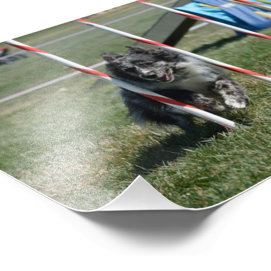 ゾーイ2 フォトプリント            (角)