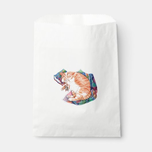 ゾーズウィンター昼寝 フェイバーバッグ (正面)