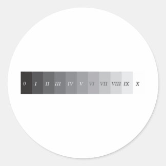 ゾーンシステム ラウンドシール