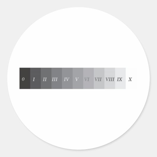 ゾーンシステム ラウンドシール (正面)