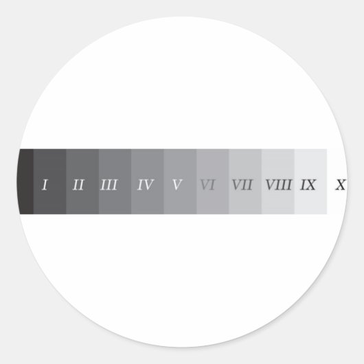 ゾーンシステム ラウンドシール (正面)