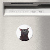 ゾーン外Catミーム磁石 マグネット (インサイチュ (食洗機))