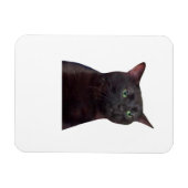 ゾーン外Cat、ゾーン外 マグネット (横)