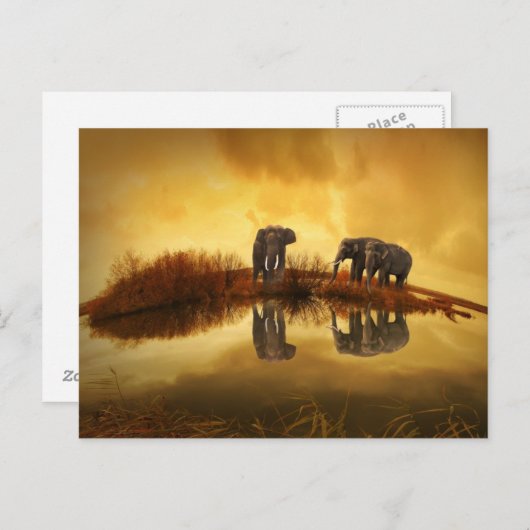 タイのアジアゾウ白熱［赤熱］光を放つズ ポストカード (正面/裏面)