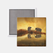 タイのアジアゾウ白熱［赤熱］光を放つズ マグネット (正面/裏面)