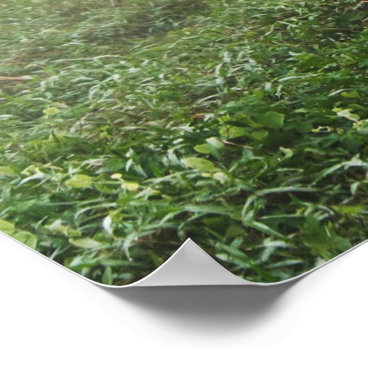 タイのアジアゾウ ポスター (角)