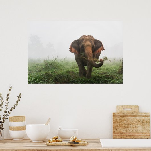タイのアジアゾウ ポスター (キッチン)