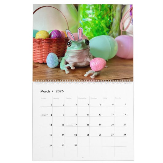 タイのエキゾチックなクリッターレスキュー2024カレンダー カレンダー (3月 2026)