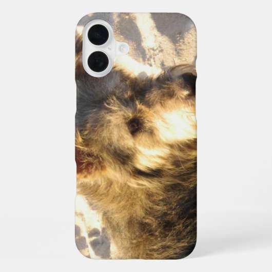 タイのビーチの犬 iPhoneケース (裏面)