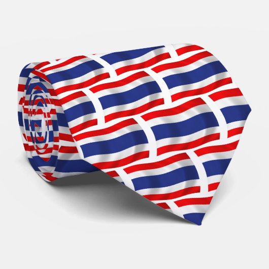 タイの国旗ネクタイ ネクタイ (ロール)