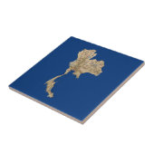 タイの地図のタイル タイル (側面)