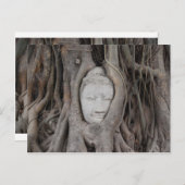 タイの木々に囲まれた仏頭 ポストカード (正面/裏面)