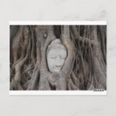 タイの木々に囲まれた仏頭 ポストカード (裏面)