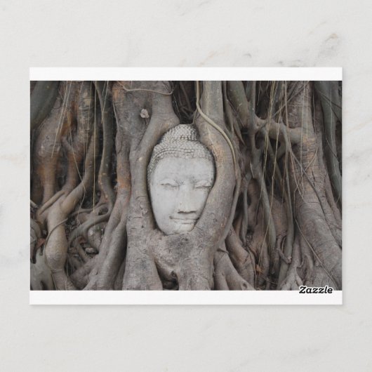 タイの木々に囲まれた仏頭 ポストカード (裏面)