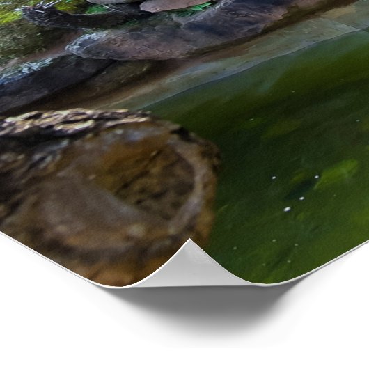 タイの滝 ポスター (角)