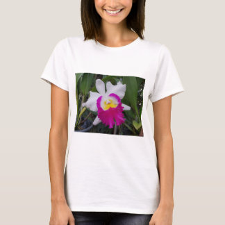 タイの蘭の花 Tシャツ