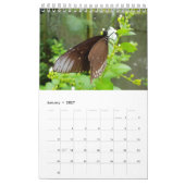 タイの蝶 カレンダー (1月 2027)