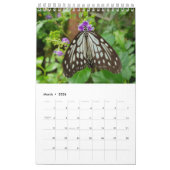 タイの蝶 カレンダー (3月 2026)