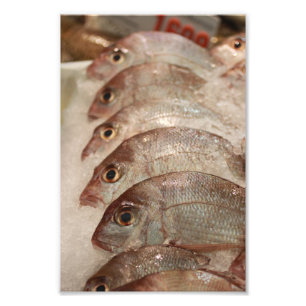 タイの魚 フォトプリント