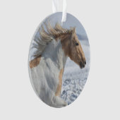 タイア走インザスノーオーナメント オーナメント (正面)