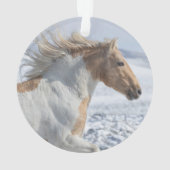 タイア走インザスノーオーナメント オーナメント (裏面)