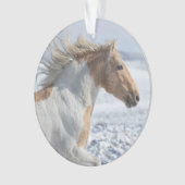 タイア走インザスノーオーナメント オーナメント (正面)