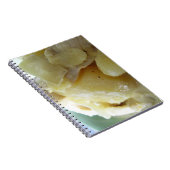 タイイエローカレー[แกงกะหรี่]アジア通り食品 ノートブック (右側)