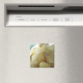 タイイエローカレー[แกงกะหรี่]アジア通り食品 マグネット (インサイチュ (食洗機))