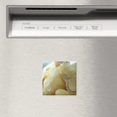 タイイエローカレー[แกงกะหรี่]アジア通り食品 マグネット (インサイチュ (食洗機))