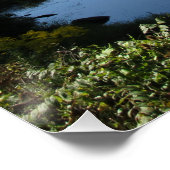 タイオガ川 ポスター (コーナー)