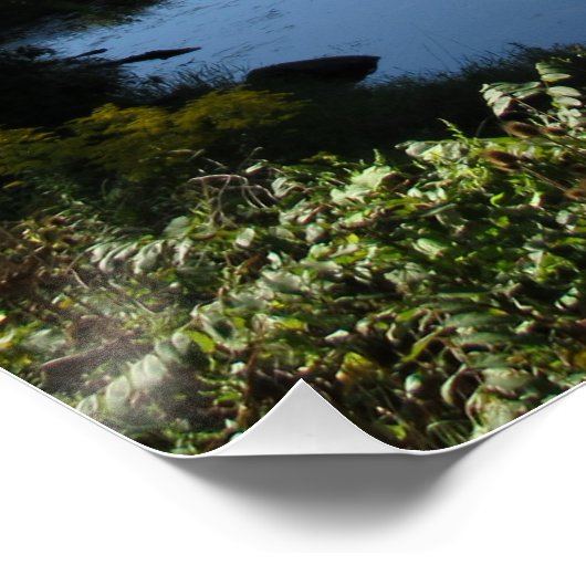 タイオガ川 ポスター (コーナー)