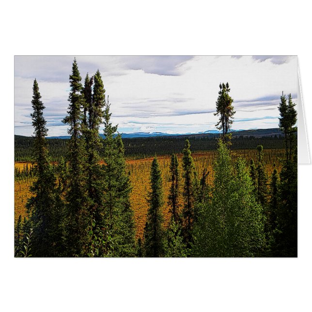 タイガサマー (正面横)