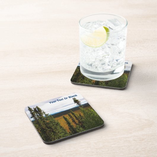 タイガサマー コースター (右側)