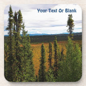 タイガサマー コースター (正面)