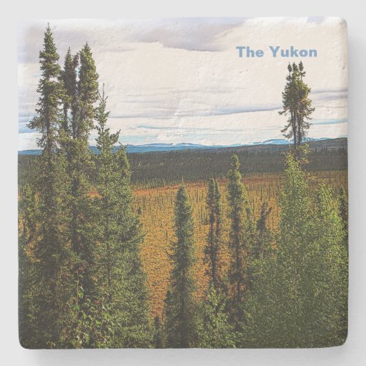 タイガサマー ストーンコースター (正面)