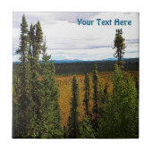 タイガサマー タイル (正面)