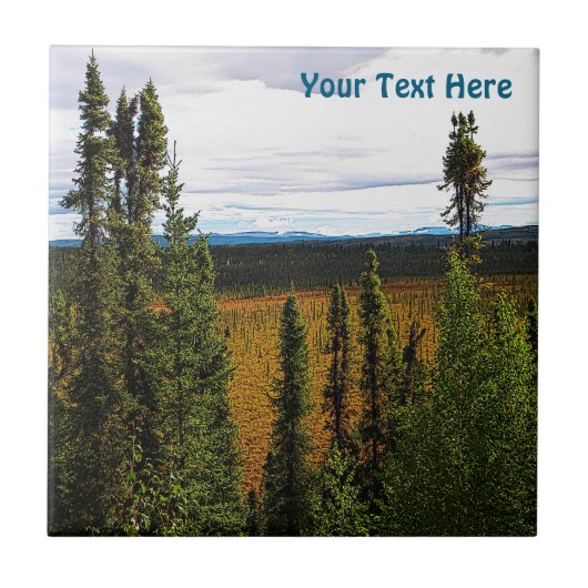 タイガサマー タイル (正面)