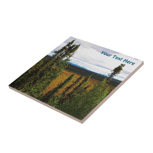 タイガサマー タイル (側面)