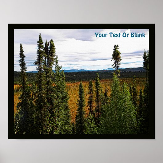 タイガサマー ポスター (正面)