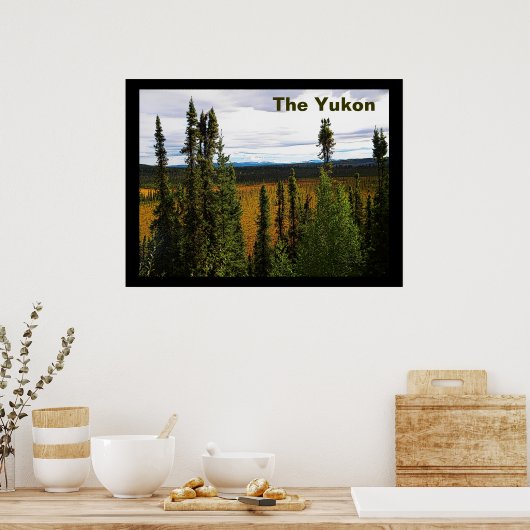 タイガサマー ポスター (キッチン)