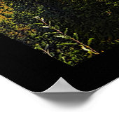 タイガサマー ポスター (角)