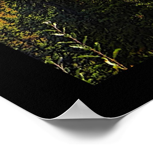 タイガサマー ポスター (角)